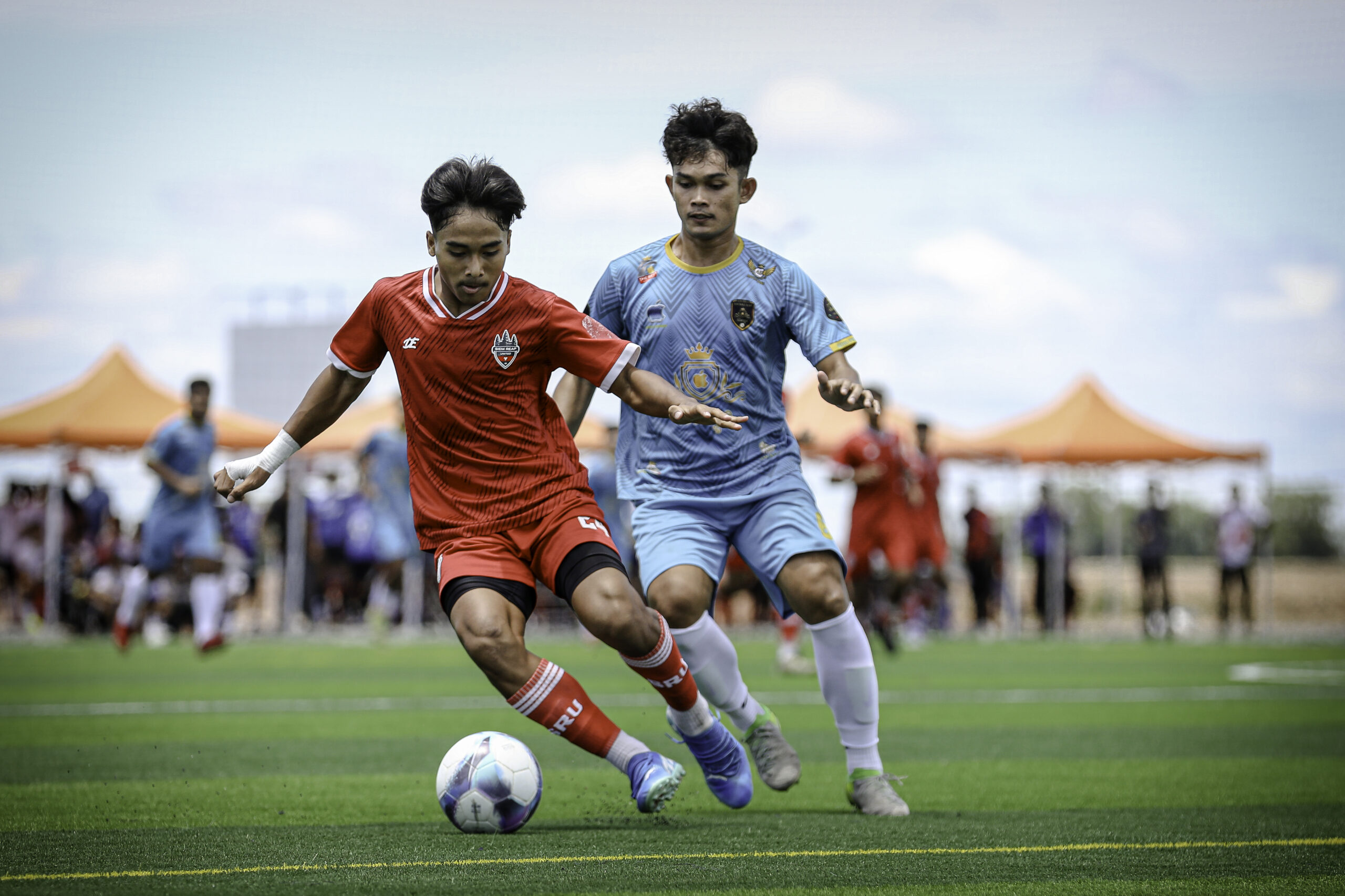 Tiger Field Project（ＰＭ）画像