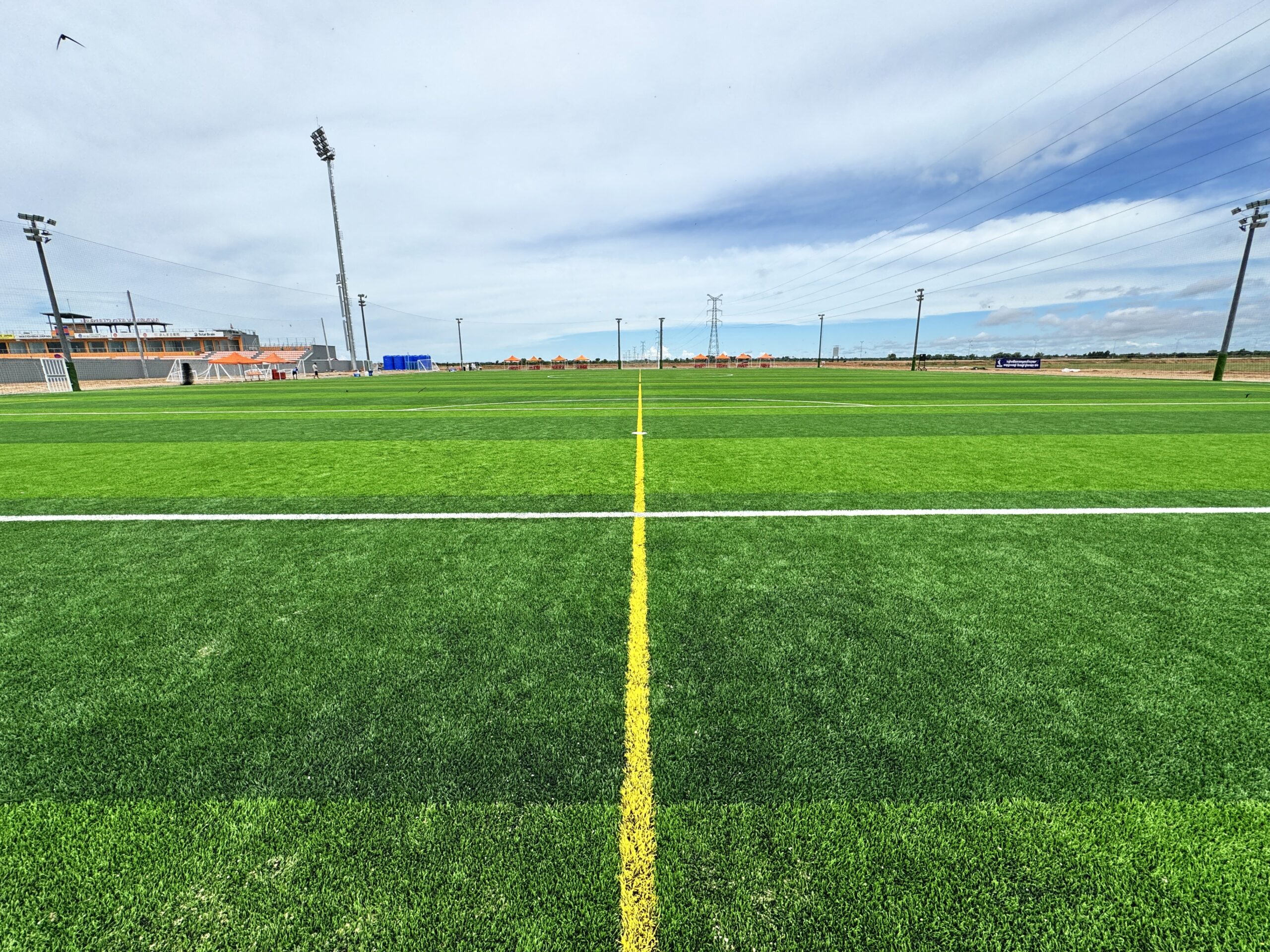 Tiger Field Project（ＰＭ）画像