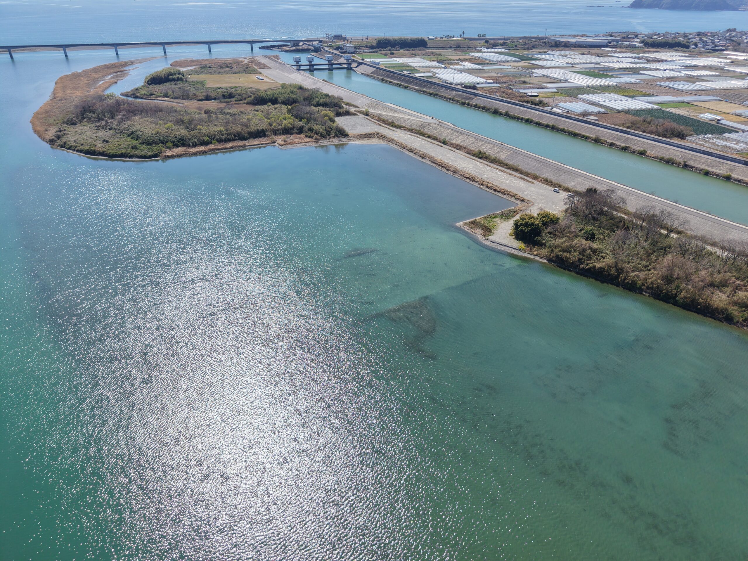 令和7年度　仁淀川下流河道掘削工事画像